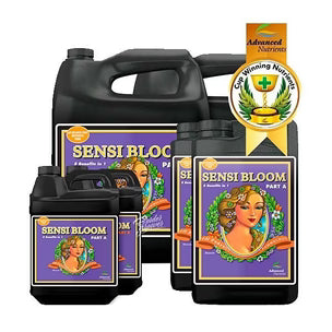 Sensi Bloom A+B PH perfect