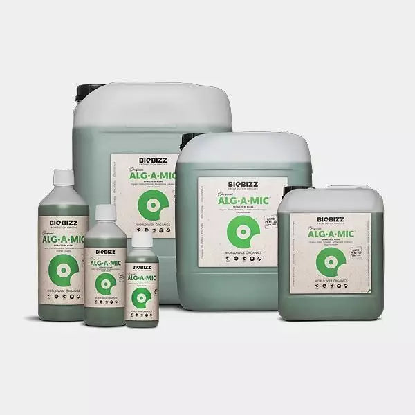 Alg-A-Mic