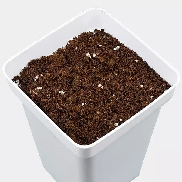 All Mix GB Nutrients