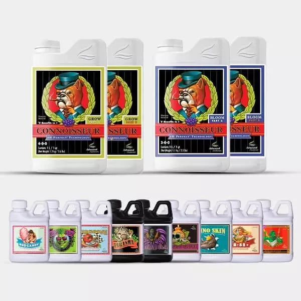 AN Professional Pack