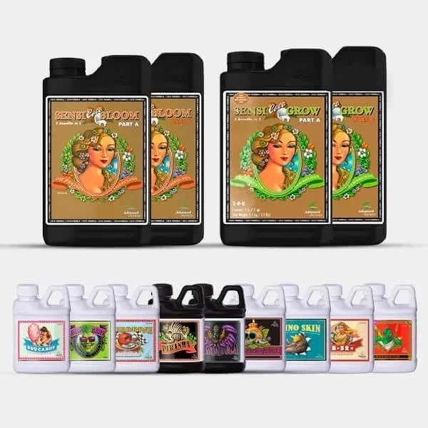 AN Professional Pack