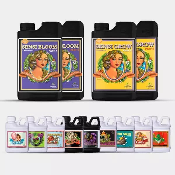 AN Professional Pack