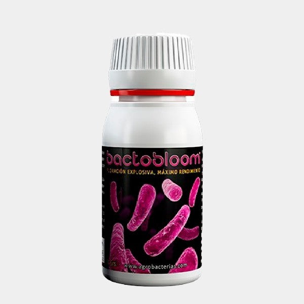 Bactobloom Floración Agrobacterias – Estimulador Ecológico