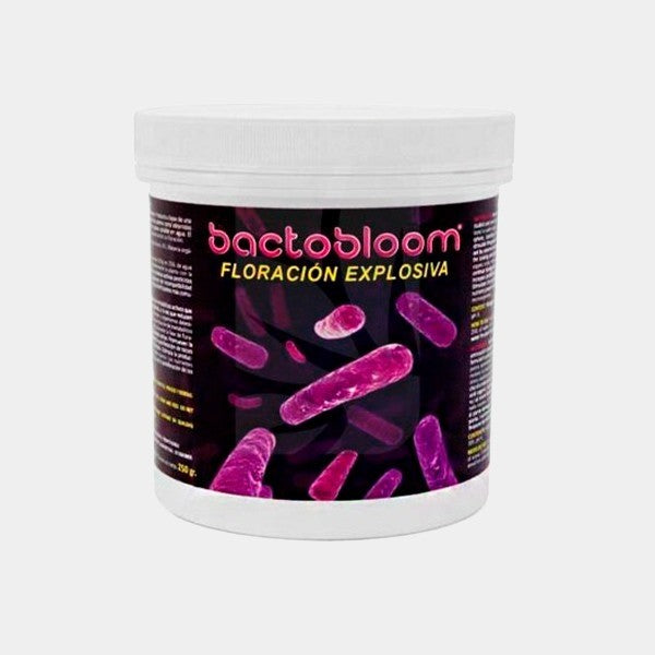 Bactobloom Floración Explosiva Agrobacterias bote 250g con cepas microbianas vivas