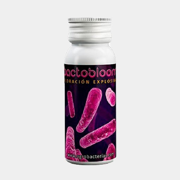 Bactobloom Floración Agrobacterias – Estimulador Ecológico