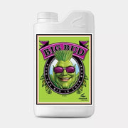 Big Bud