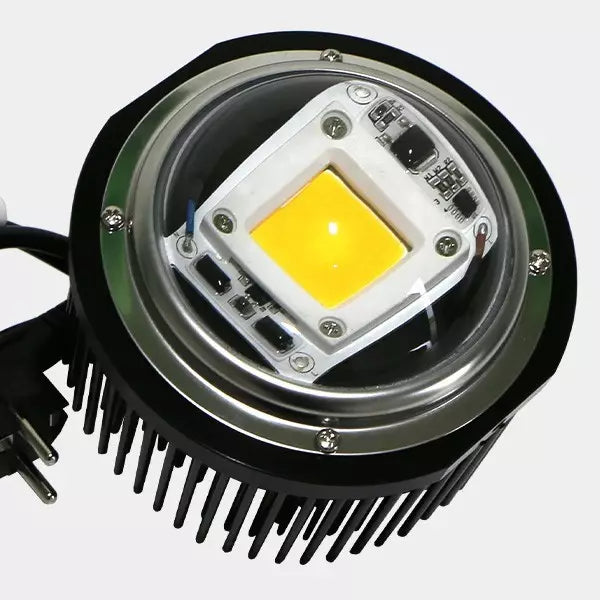LED TX COB DOB Burbuja
