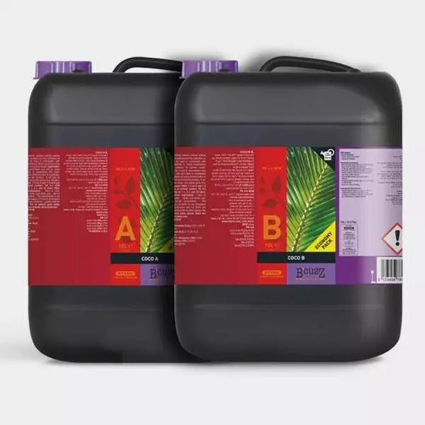 Coco A+B Atami B'cuzz