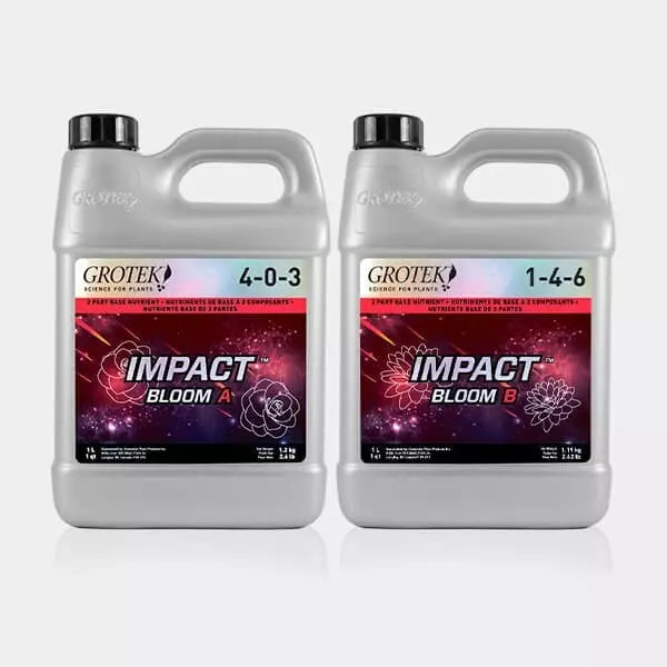 Impact Bloom A+B