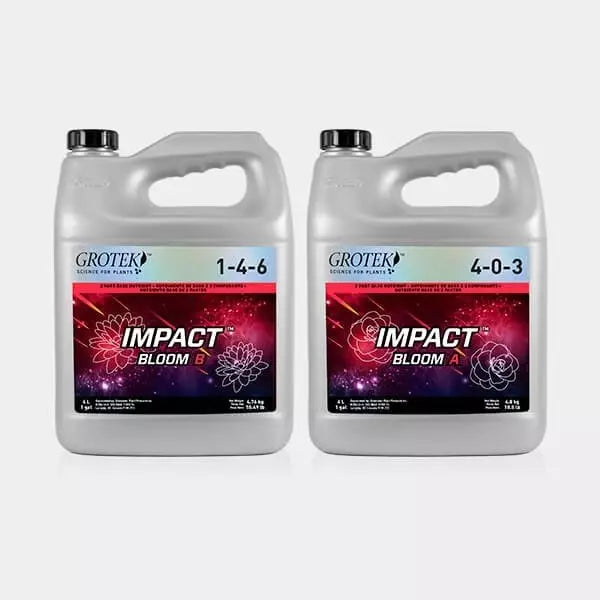 Impact Bloom A+B