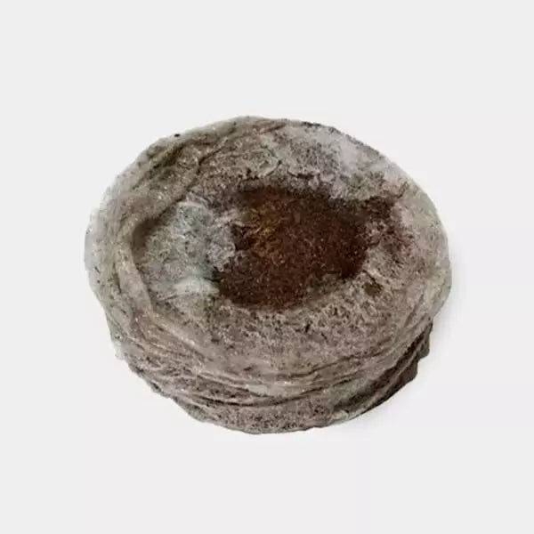 Jiffy-7 Turba Prensada