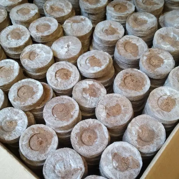 Jiffy-7 Turba Prensada