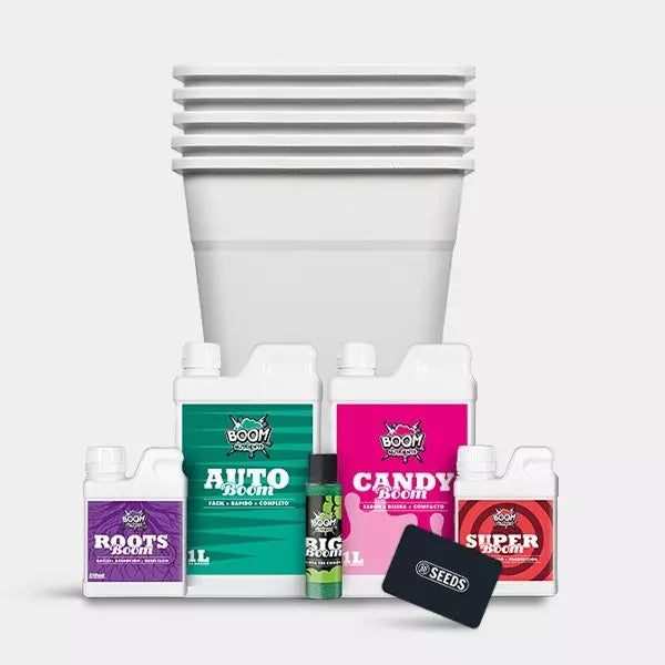 Kit autoflorecientes XXL