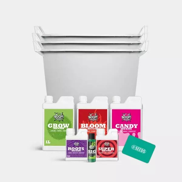 Kit Completo Feminizadas