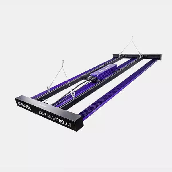 LED Zeus 300W Pro 3.1 Lumatek