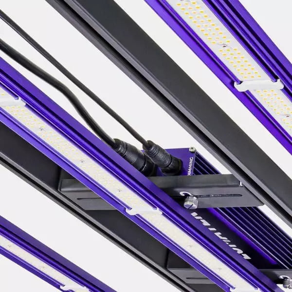 LED Zeus 300W Pro 3.1 Lumatek