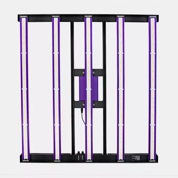 LED Zeus 465W Pro 3.1 Lumatek