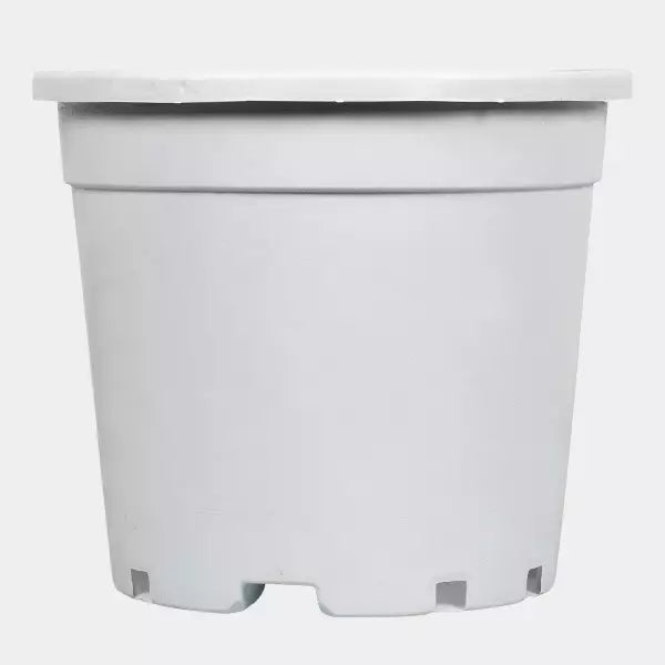 Maceta/contenedor grande blanca con asas