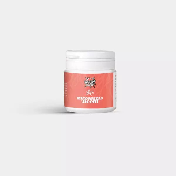 Micorrizas Boom