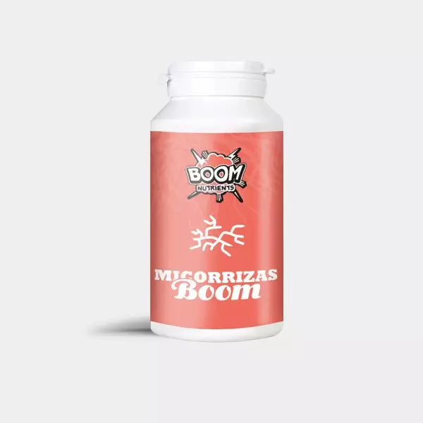 Micorrizas Boom