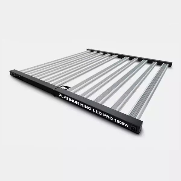 Platinum King LED 1000W con Regulador