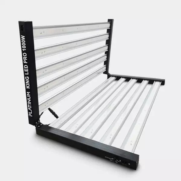 Platinum King LED 1000W con Regulador