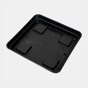 Plato para maceta autofloreciente