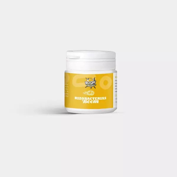 Rizobacterias Boom