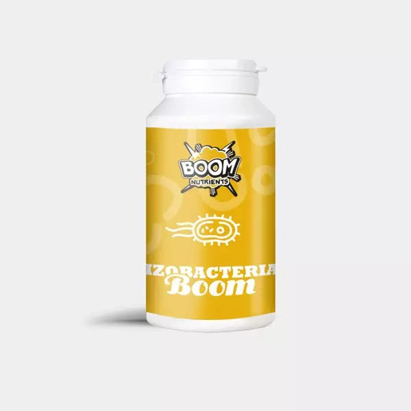Rizobacterias Boom