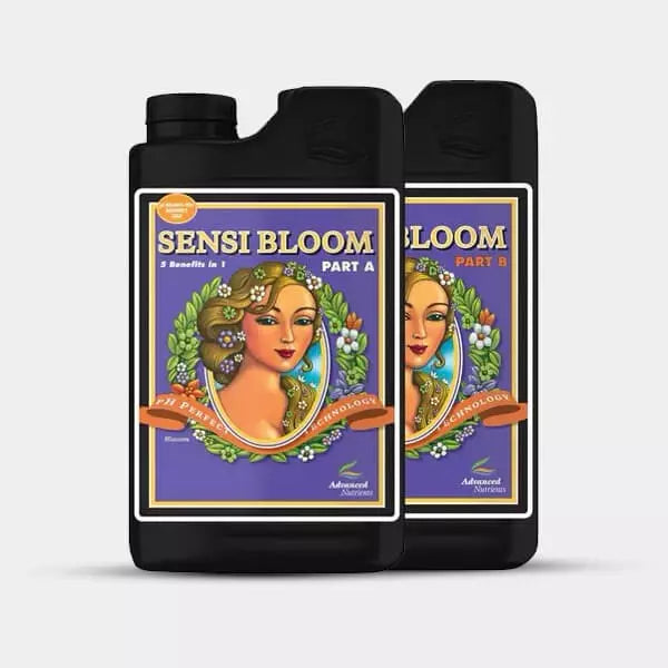Sensi Bloom A & B Ph Perfect