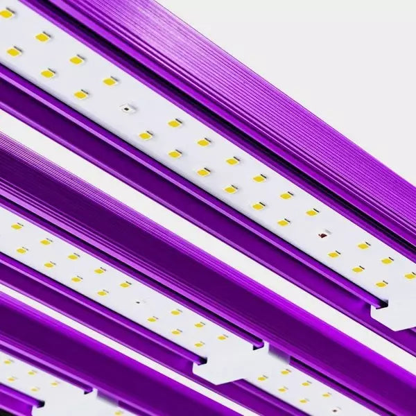 Sistema LED Attis Lumatek