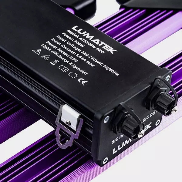 Sistema LED Attis Lumatek
