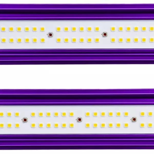 Sistema LED Zeus Lumatek PRO