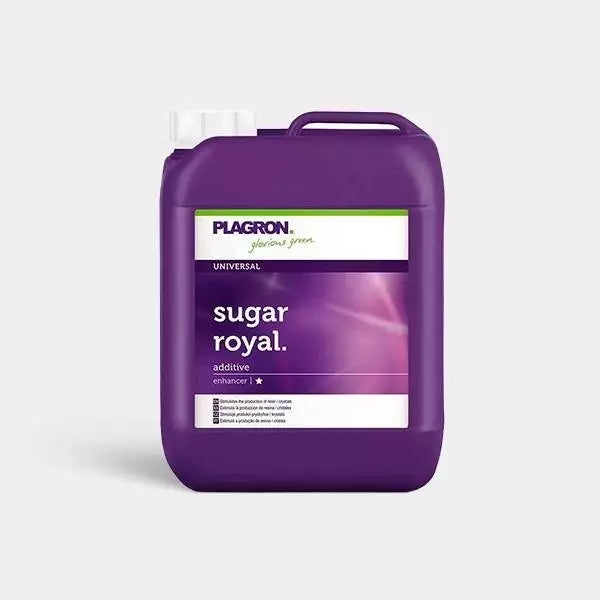Sugar Royal