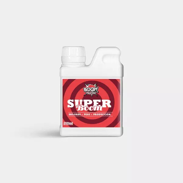 Super Boom