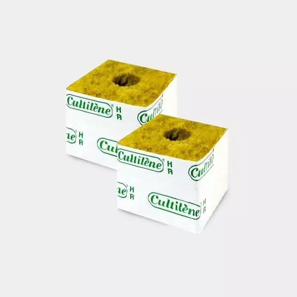 Taco de Lana de Roca